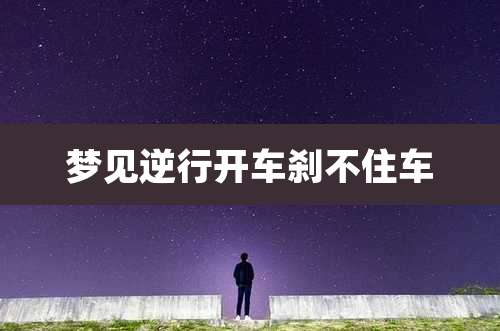 梦见逆行开车刹不住车