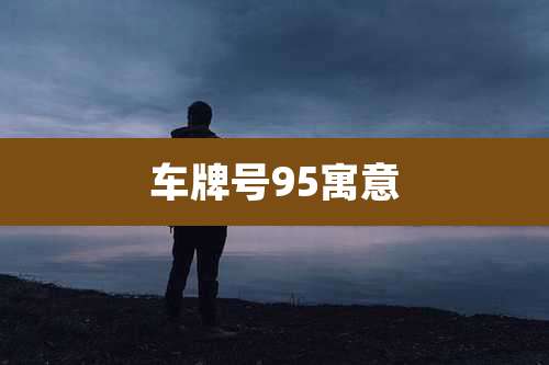 车牌号95寓意