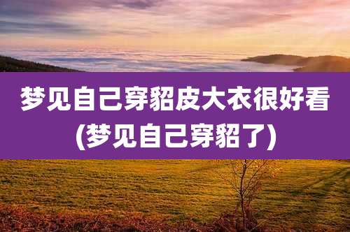 梦见自己穿貂皮大衣很好看(梦见自己穿貂了)