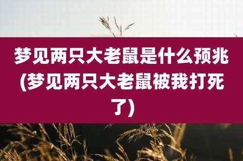 梦见两只大老鼠是什么预兆(梦见两只大老鼠被我打死了)