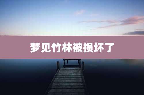 梦见竹林被损坏了