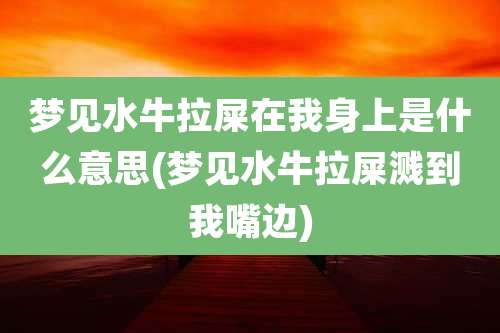 梦见水牛拉屎在我身上是什么意思(梦见水牛拉屎溅到我嘴边)