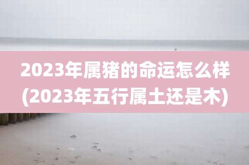 2023年属猪的命运怎么样(2023年五行属土还是木)