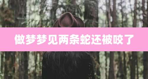 做梦梦见两条蛇还被咬了