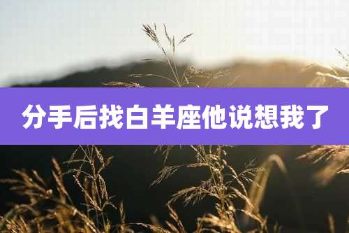 分手后找白羊座他说想我了