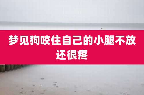 梦见狗咬住自己的小腿不放还很疼