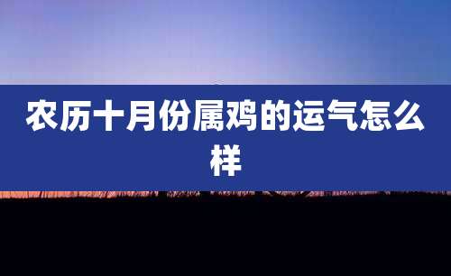 农历十月份属鸡的运气怎么样
