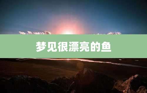 梦见很漂亮的鱼