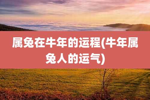 属兔在牛年的运程(牛年属兔人的运气)