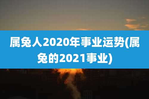 属兔人2020年事业运势(属兔的2021事业)