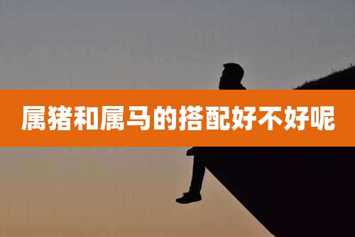 属猪和属马的搭配好不好呢