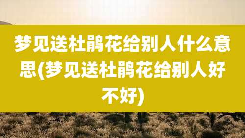 梦见送杜鹃花给别人什么意思(梦见送杜鹃花给别人好不好)