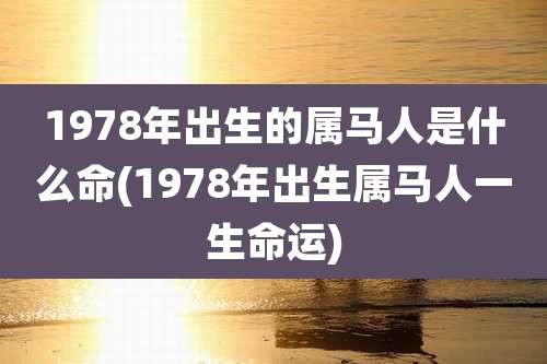 1978年出生的属马人是什么命(1978年出生属马人一生命运)