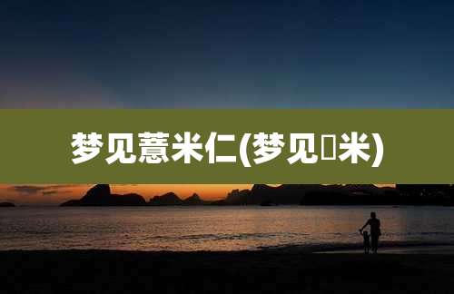 梦见薏米仁(梦见糥米)