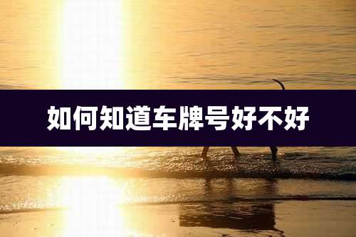 如何知道车牌号好不好