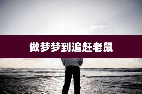 做梦梦到追赶老鼠