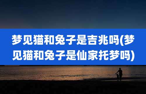 梦见猫和兔子是吉兆吗(梦见猫和兔子是仙家托梦吗)