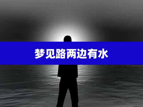 梦见路两边有水