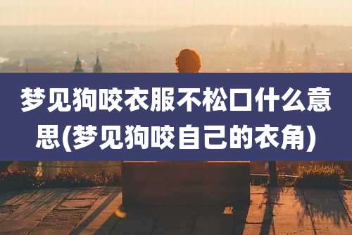 梦见狗咬衣服不松口什么意思(梦见狗咬自己的衣角)