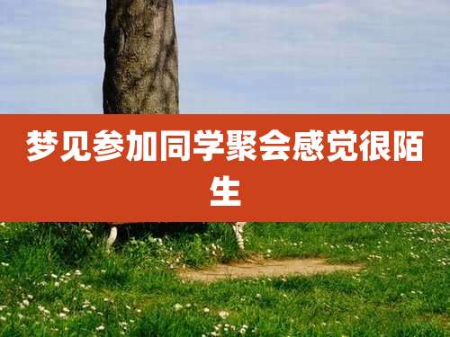 梦见参加同学聚会感觉很陌生