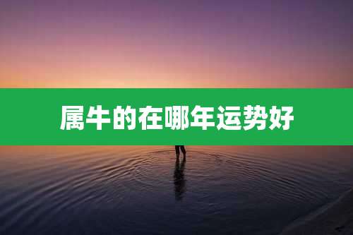 属牛的在哪年运势好