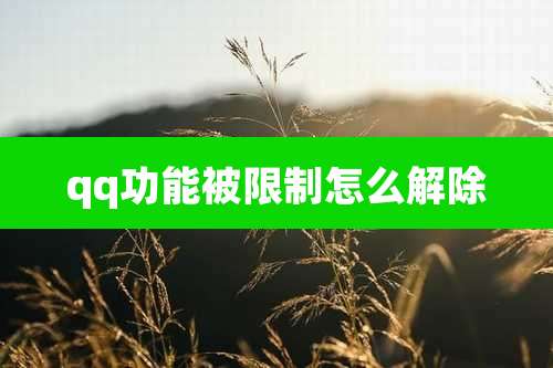 qq功能被限制怎么解除