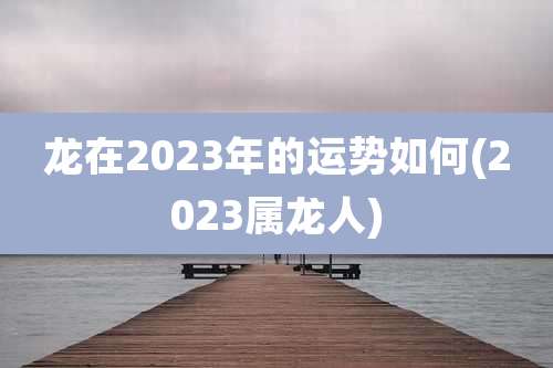 龙在2023年的运势如何(2023属龙人)