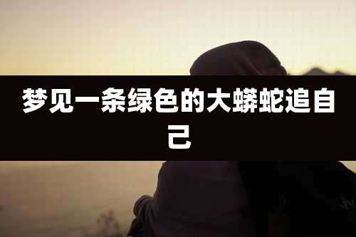 梦见一条绿色的大蟒蛇追自己