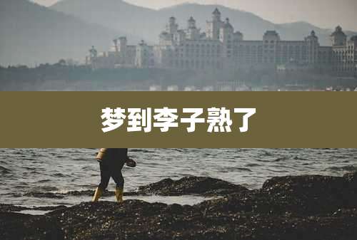 梦到李子熟了