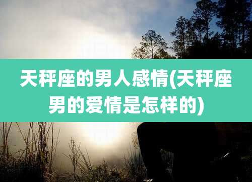 天秤座的男人感情(天秤座男的爱情是怎样的)