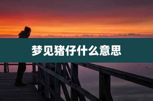 梦见猪仔什么意思