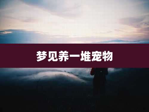 梦见养一堆宠物