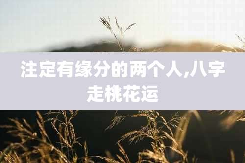 注定有缘分的两个人,八字走桃花运