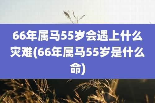 66年属马55岁会遇上什么灾难(66年属马55岁是什么命)