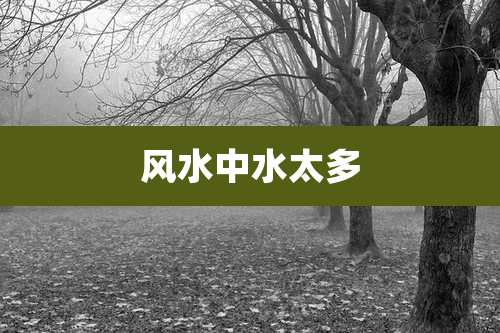 风水中水太多