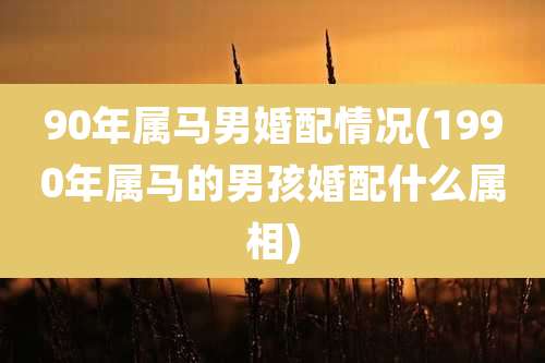90年属马男婚配情况(1990年属马的男孩婚配什么属相)