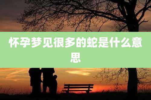 怀孕梦见很多的蛇是什么意思