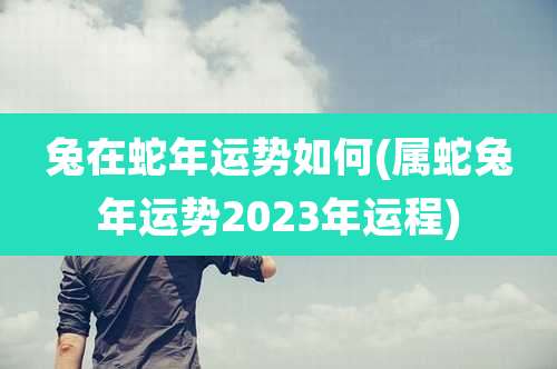 兔在蛇年运势如何(属蛇兔年运势2023年运程)