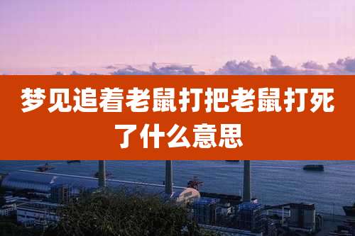 梦见追着老鼠打把老鼠打死了什么意思