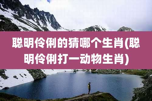 聪明伶俐的猜哪个生肖(聪明伶俐打一动物生肖)