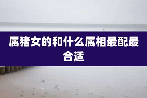 属猪女的和什么属相最配最合适