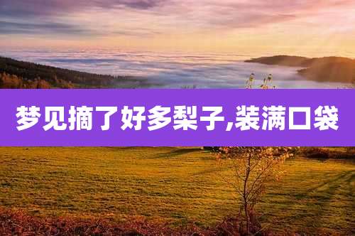 梦见摘了好多梨子,装满口袋