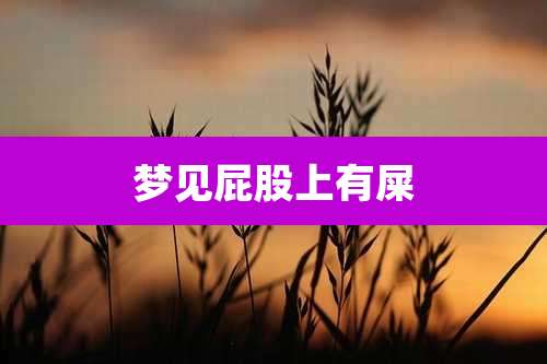 梦见屁股上有屎