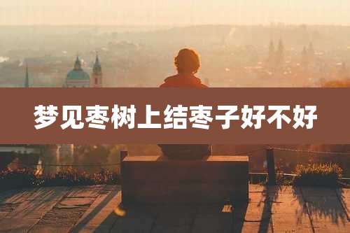 梦见枣树上结枣子好不好