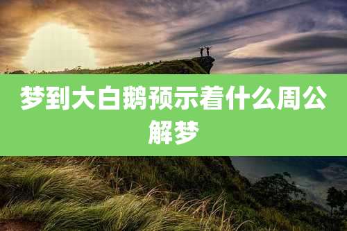 梦到大白鹅预示着什么周公解梦