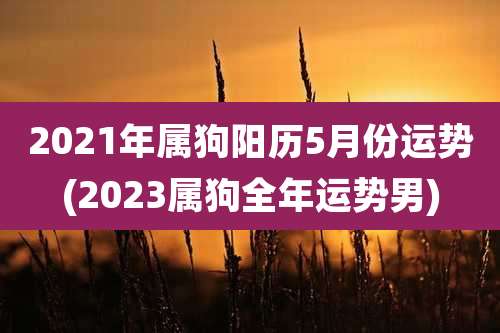 2021年属狗阳历5月份运势(2023属狗全年运势男)
