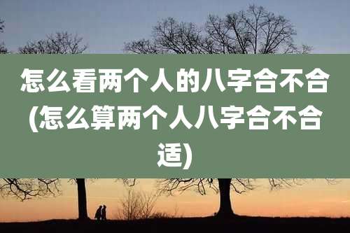 怎么看两个人的八字合不合(怎么算两个人八字合不合适)