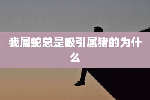 我属蛇总是吸引属猪的为什么