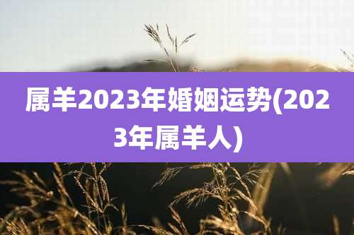 属羊2023年婚姻运势(2023年属羊人)