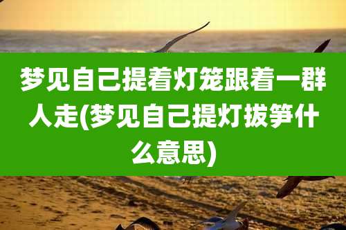 梦见自己提着灯笼跟着一群人走(梦见自己提灯拔笋什么意思)